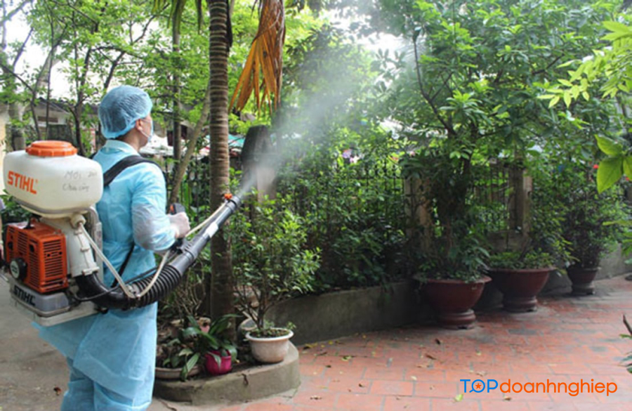Top 10 công ty dịch vụ diệt muỗi tận gốc tận nhà uy tín ở tpHCM 