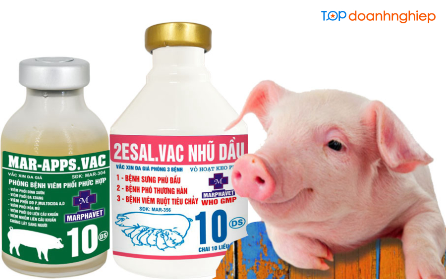 Top 8 công ty sản xuất thuốc thú y uy tín và lớn nhất Việt Nam 