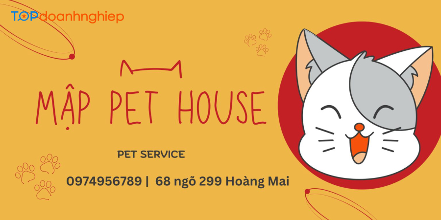Top 8 địa chỉ mua mèo uy tín ở Hà Nội, đa dạng giống mèo 