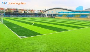 Top 8 sân bóng đá cỏ nhân tạo mini chất lượng tốt ở Hà Nội