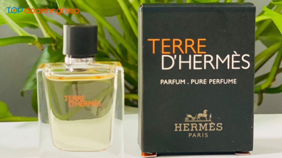 Terre d’Hermes - Top dòng nước hoa nam bán chạy nhất thế giới