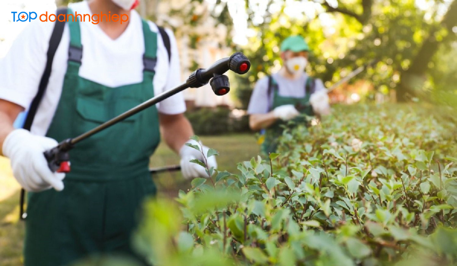 VinPest - Công ty cung cấp dịch vụ diệt côn trùng uy tín, giá rẻ