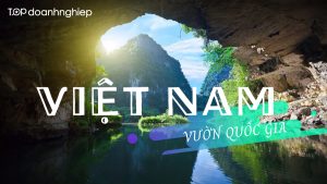 Top 8 vườn quốc gia lớn nhất Việt Nam, bạn nên đến một lần