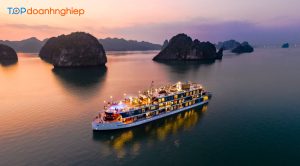 Khám phá top 9 địa điểm du lịch du thuyền hot nhất Việt Nam