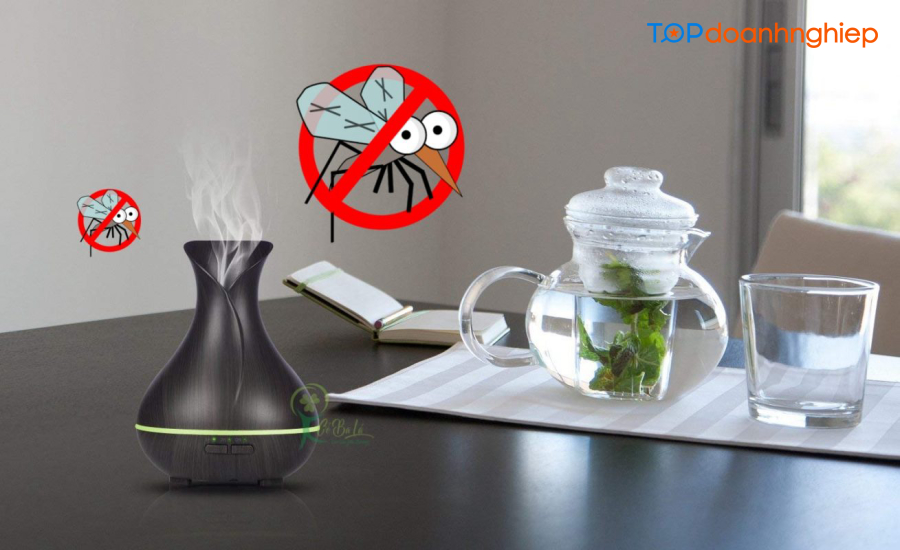 Top 10 cách đuổi muỗi trong phòng tận gốc đơn giản, hiệu quả 