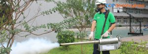 Top 10 công ty dịch vụ diệt muỗi tận gốc tận nhà ở Hà Nội uy tín