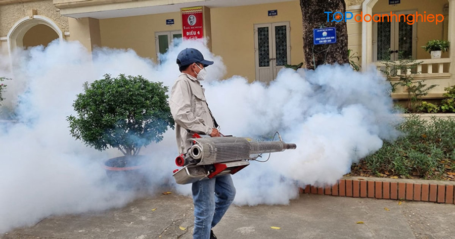 Top 10 công ty dịch vụ diệt muỗi tận gốc tận nhà ở Hà Nội uy tín
